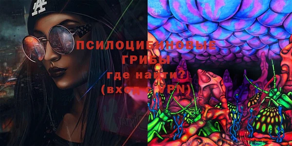 таблы Богданович