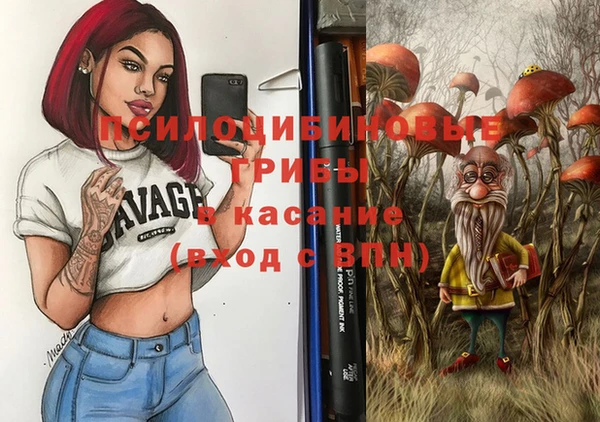 таблы Богданович