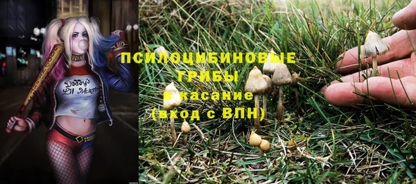 таблы Богданович